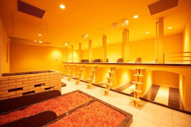Sauna & Thermae-yu Nishiazabu Hôtel capsule *